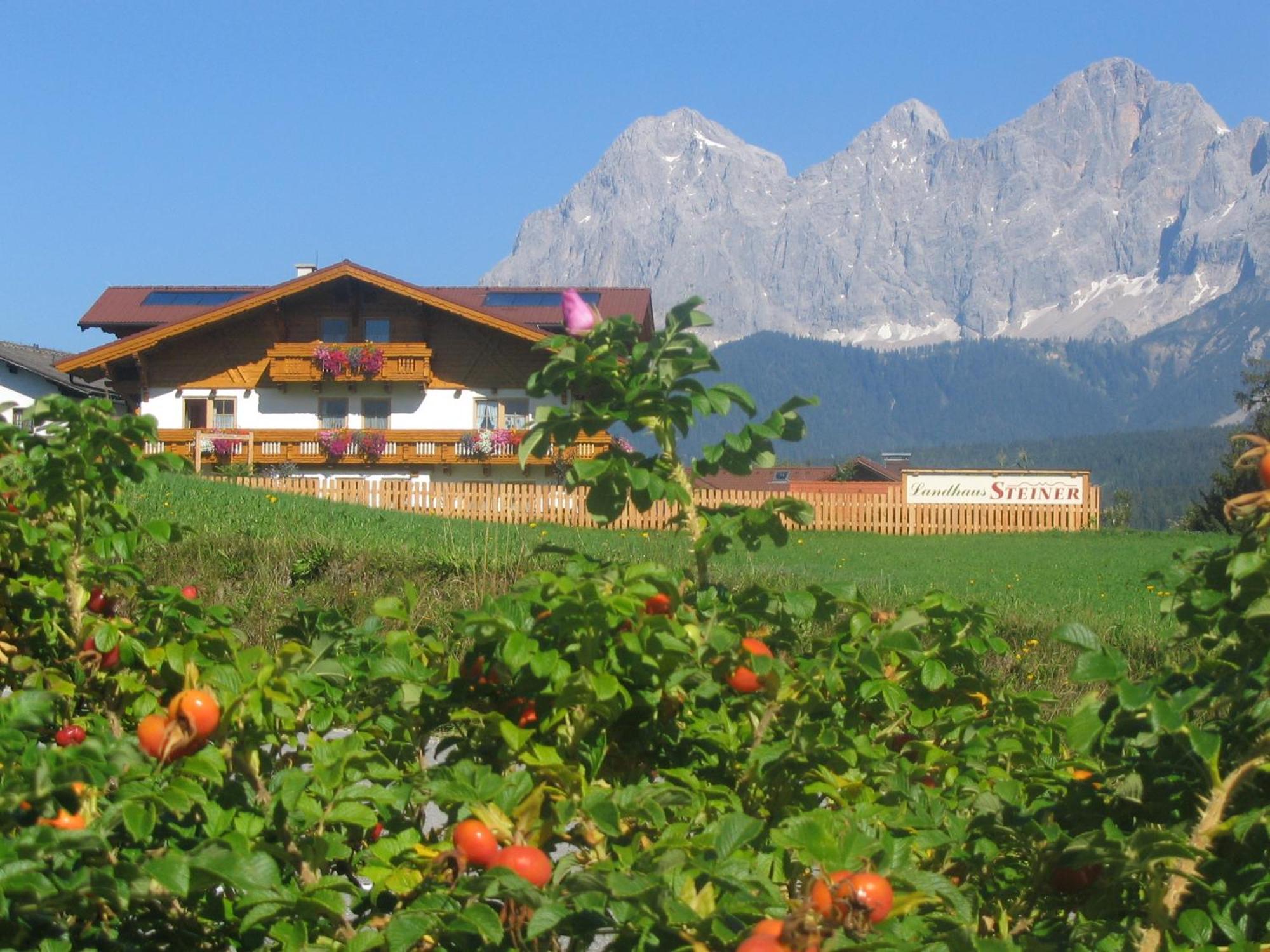 Landhaus Steiner ชลัดมิง ภายนอก รูปภาพ