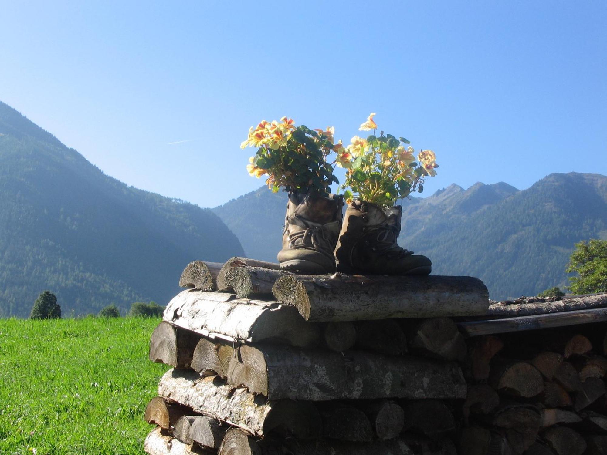 Landhaus Steiner ชลัดมิง ภายนอก รูปภาพ