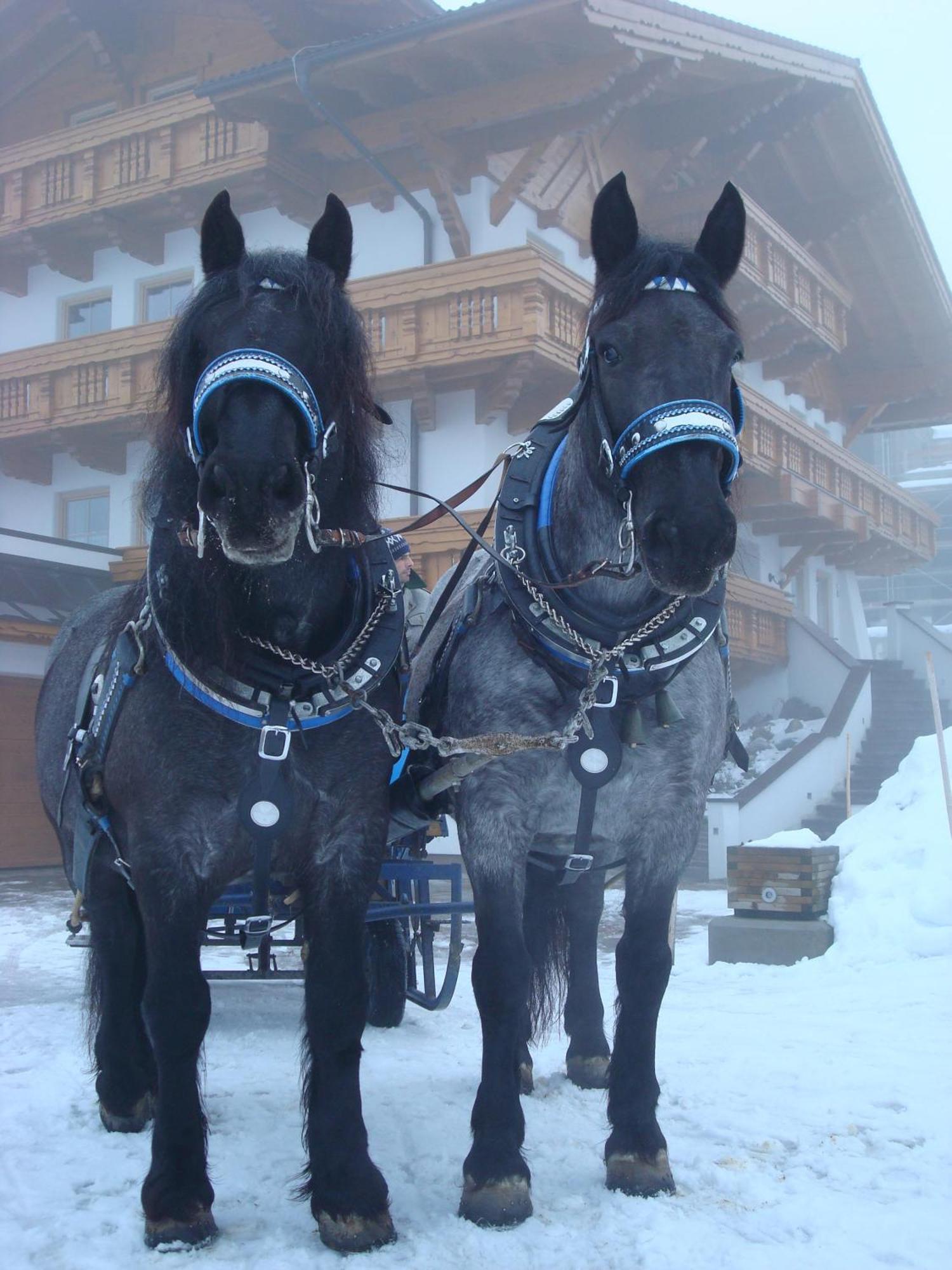 Landhaus Steiner ชลัดมิง ภายนอก รูปภาพ